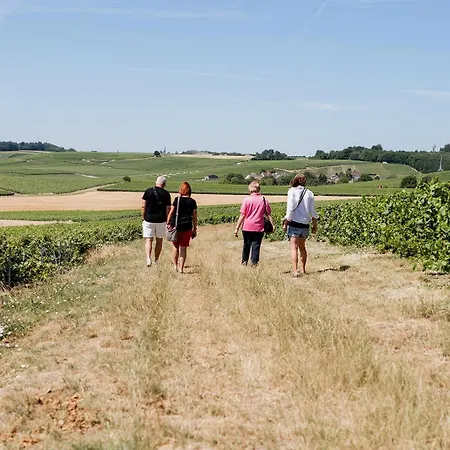 La Poterne L A Epernay Сasa de vacaciones