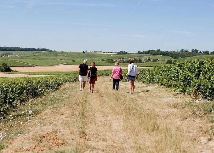 La Poterne L A Epernay Nyaraló